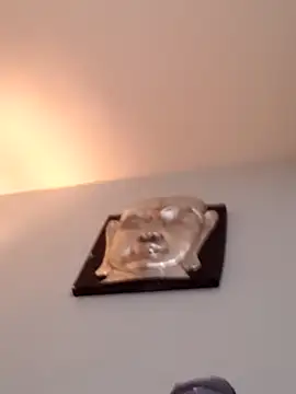 djcarey369159 online show from 5, 4, 2026