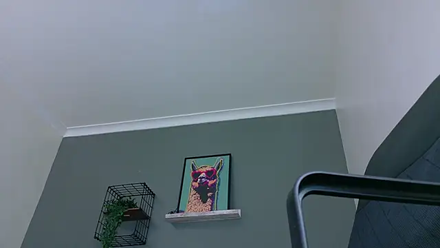 MrFox   online show from 12, 3, 2026