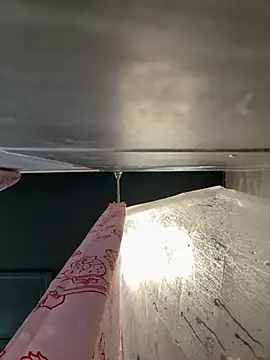 chocolate bella online show from 7, 3, 2026