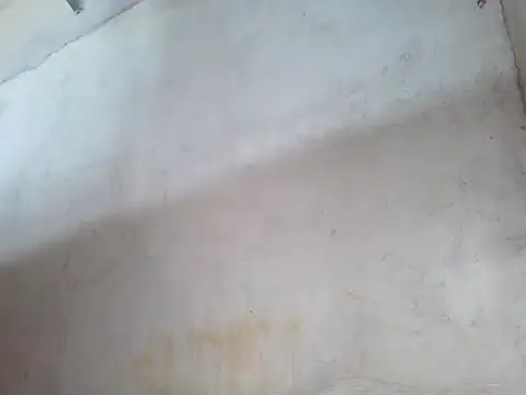 star ass online show from 19, 10, 2025