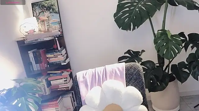 Emmaq996 online show from 10, 2, 2026