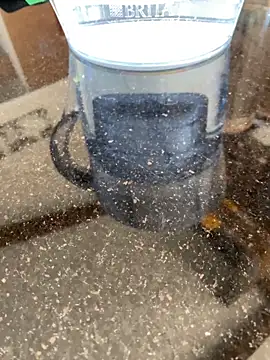 darkdecide online show from 30, 10, 2025