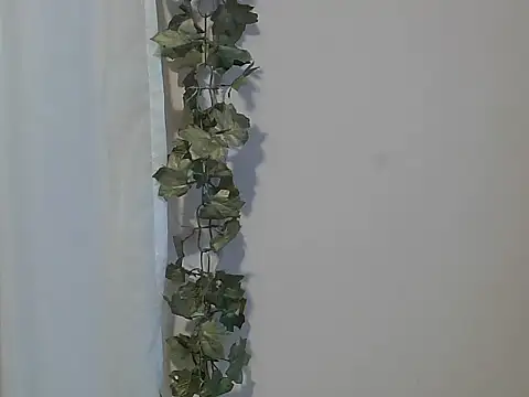 angelainparis28 online show from 27, 11, 2025