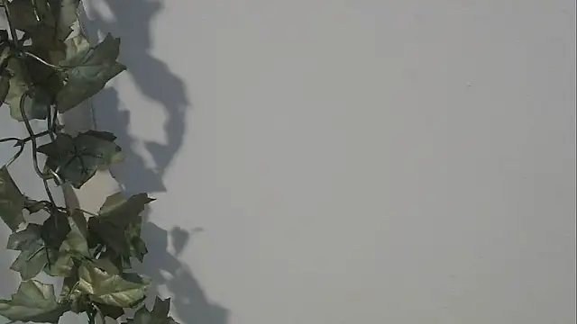 angelainparis28 online show from 5, 10, 2025