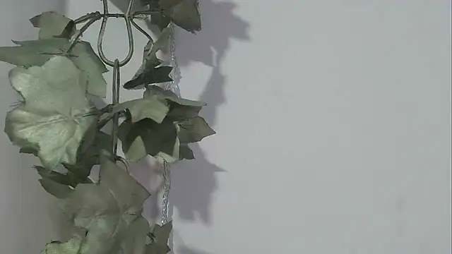 angelainparis28 online show from 17, 11, 2025