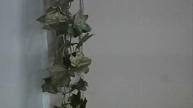 angelainparis28 online show from 2, 12, 2025