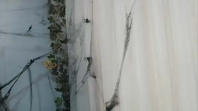 angelainparis28 online show from 21, 10, 2025