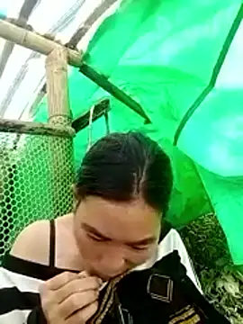 cicnci online show from 12, 11, 2025