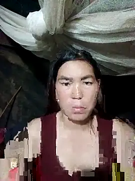 cicnci online show from 8, 11, 2025