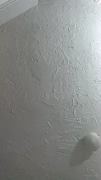 Bulbasaurisme online show from 26, 9, 2025