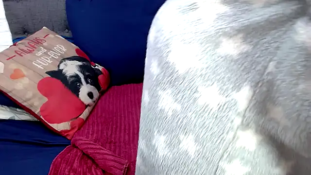 chockclitx5 online show from 16, 4, 2026