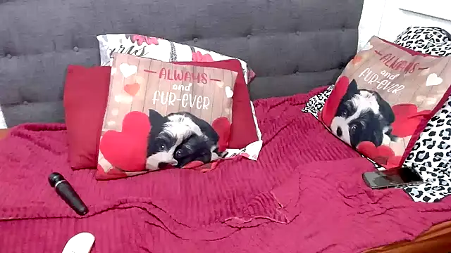 chockclitx5 online show from 17, 2, 2026