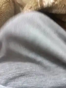 Abodi12aa77 online show from 3, 3, 2026