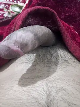 Abodi12aa77 online show from 5, 10, 2025