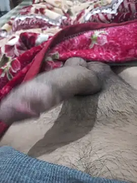 Abodi12aa77 online show from 29, 9, 2025