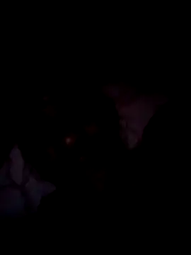 Snapshot of Steehood chatting on 10, 1, 2026 Steehood online show from 10, 1, 2026