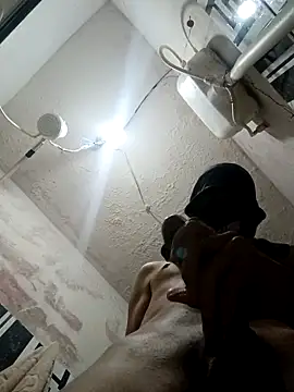 Gusttavotesudoxxvvc online show from 22, 9, 2025