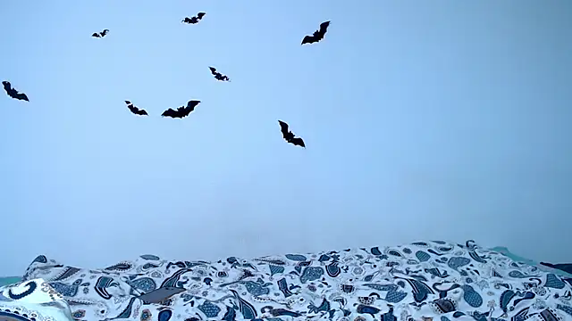 Snapshot of litle_owl chatting on 9, 11, 2025 litle owl online show from 9, 11, 2025