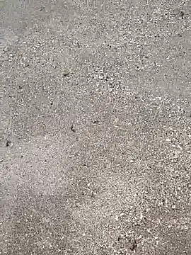 sarahkat86 online show from 23, 9, 2025