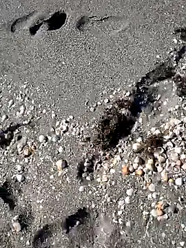 sarahkat86 online show from 14, 11, 2025