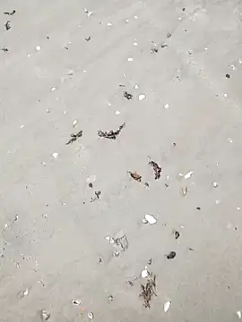 sarahkat86 online show from 6, 4, 2026