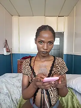 Snapshot of Trans_fairy chatting on 28, 2, 2026 Trans fairy online show from 28, 2, 2026