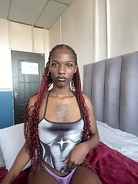 Snapshot of Trans_fairy chatting on 17, 2, 2026 Trans fairy online show from 17, 2, 2026