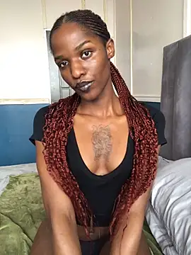 Snapshot of Trans_fairy chatting on 24, 2, 2026 Trans fairy online show from 24, 2, 2026