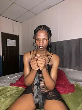 Snapshot of Trans_fairy chatting on 2, 2, 2026 Trans fairy online show from 2, 2, 2026