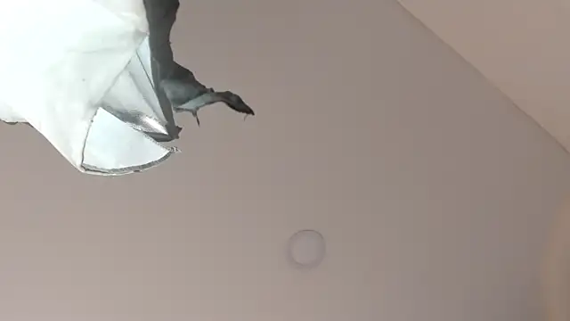 sweet  vanessa1 online show from 9, 3, 2026