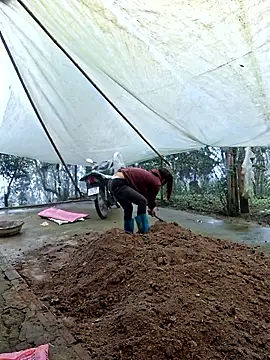 ngocngoc cute online show from 7, 3, 2026