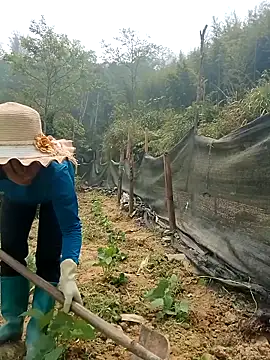 ngocngoc cute online show from 15, 4, 2026