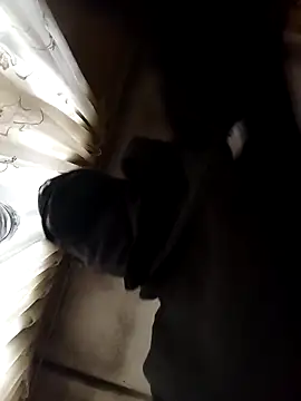 BlessingShikisha online show from 20, 3, 2026