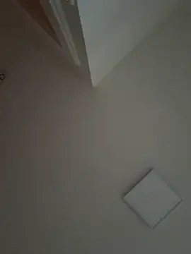 Gipsyboysteve online show from 16, 11, 2025