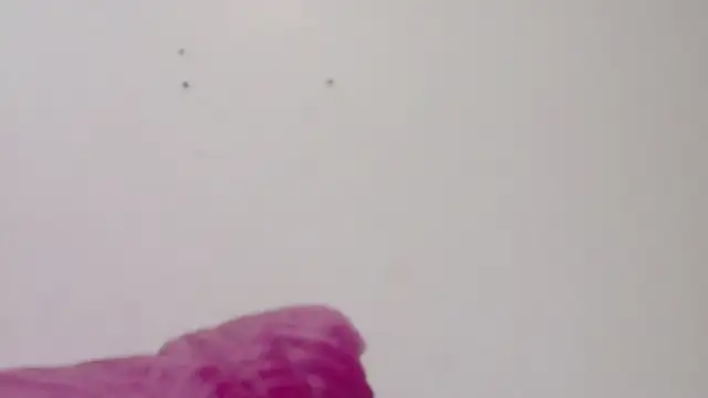 habdiela online show from 18, 2, 2026