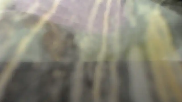 Snapshot of habdiela chatting on 28, 10, 2025 habdiela online show from 28, 10, 2025