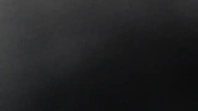 habdiela online show from 11, 2, 2026