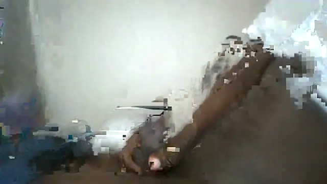 Ziphoo2 online show from 12, 2, 2026