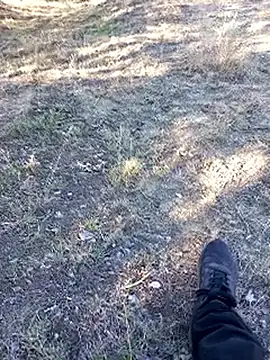 bullut06 online show from 23, 9, 2025