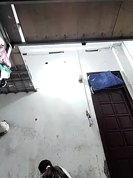 naop04 online show from 27, 11, 2025