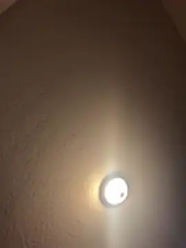 1n0nlythroat online show from 9, 1, 2026