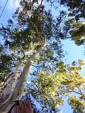 M4tute online show from 17, 4, 2026