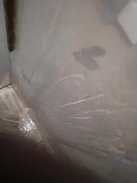 Pio185 online show from 24, 2, 2026