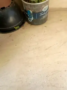 Jogandor777 online show from 11, 9, 2025