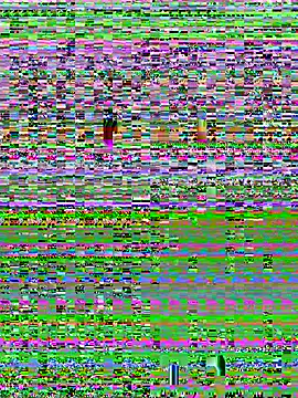 Snapshot of YOOUR_EVAA chatting on 8, 7, 2026 YOOUR EVAA online show from 8, 7, 2026