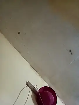 RandalHot online show from 27, 11, 2025