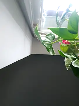 Snapshot of Czarnoksieznik chatting on 2, 11, 2025 Czarnoksieznik online show from 2, 11, 2025