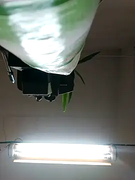 Snapshot of Czarnoksieznik chatting on 27, 10, 2025 Czarnoksieznik online show from 27, 10, 2025