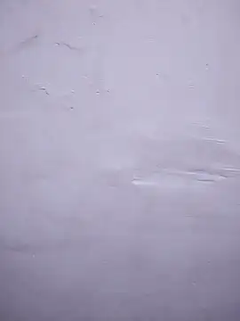 amolicars online show from 24, 10, 2025