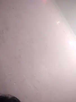 amolicars online show from 15, 11, 2025